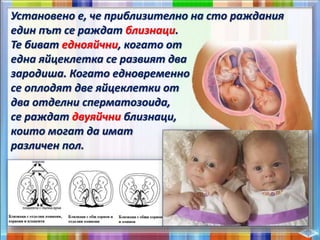 Установено е, че приблизително на сто раждания
един път се раждат близнаци.
Те биват еднояйчни, когато от
една яйцеклетка се развият два
зародиша. Когато едновременно
се оплодят две яйцеклетки от
два отделни сперматозоида,
се раждат двуяйчни близнаци,
които могат да имат
различен пол.
 