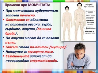  При момчетата пубертетът
започва по-късно.
 Окосмяват се областта
на половите органи, гърба,
гърдите, лицето /пониква
брада/.
 По лицето могат да се появят
пъпки.
 Гласът става по-плътен /мутира/.
 Натрупва се мускулна маса.
 Семенниците започват да
произвеждат сперматозоиди.
 