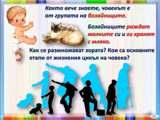 Както вече знаете, човекът е
от групата на бозайниците.
Бозайниците раждат
малките си и ги хранят
с мляко.
Как се размножават хората? Кои са основните
етапи от жизнения цикъл на човека?
 
