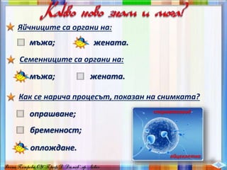 Яйчниците са органи на:
мъжа; жената.
Семенниците са органи на:
мъжа; жената.
Как се нарича процесът, показан на снимката?
опрашване;
бременност;
оплождане.
сперматозоид
яйцеклетка
 