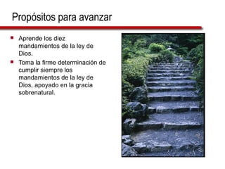 Propósitos para avanzar
 Aprende los diez
mandamientos de la ley de
Dios.
 Toma la firme determinación de
cumplir siempre los
mandamientos de la ley de
Dios, apoyado en la gracia
sobrenatural.
 