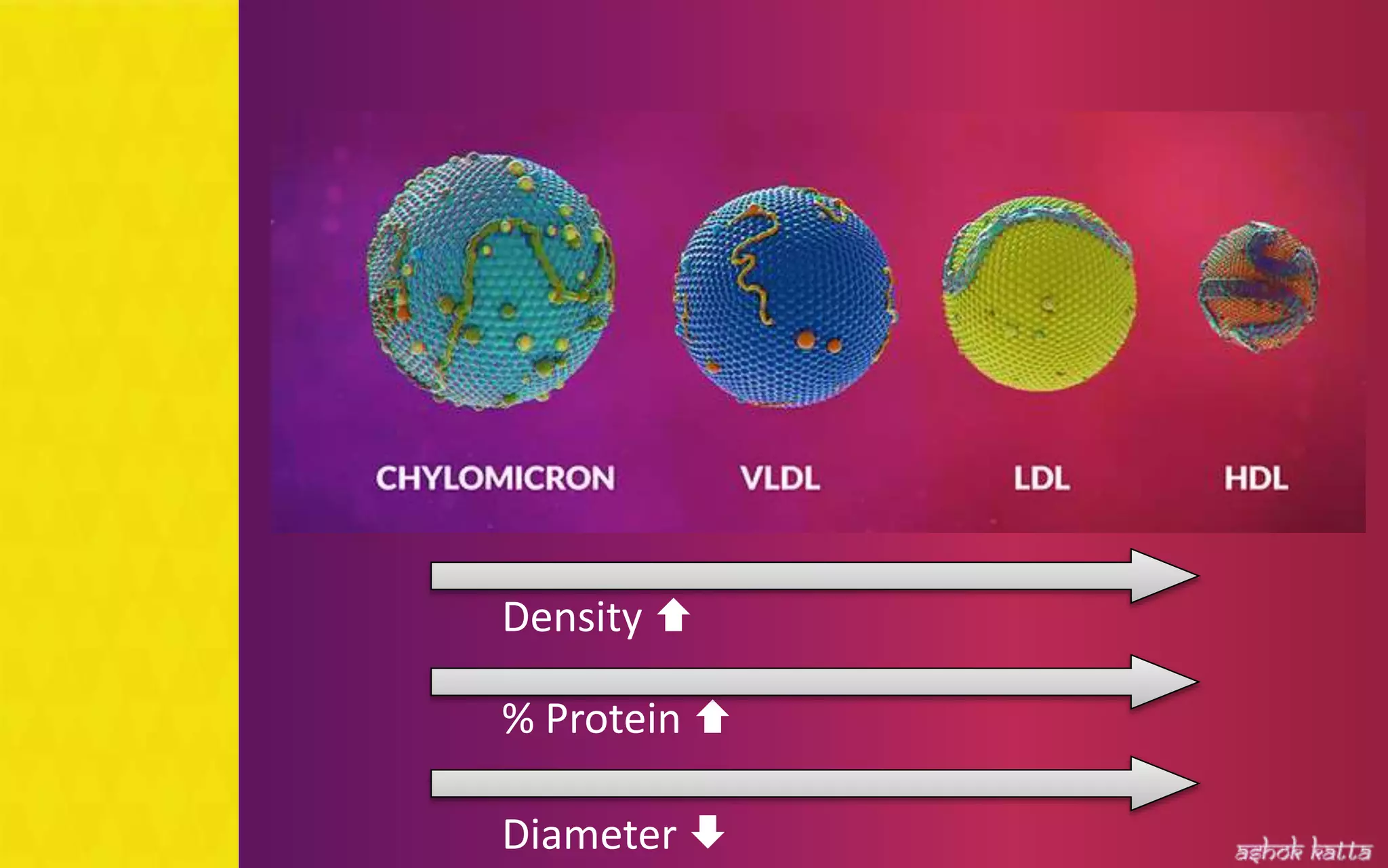 Lipoprotein metabolism - (transport of lipids in the Blood) | PPSX