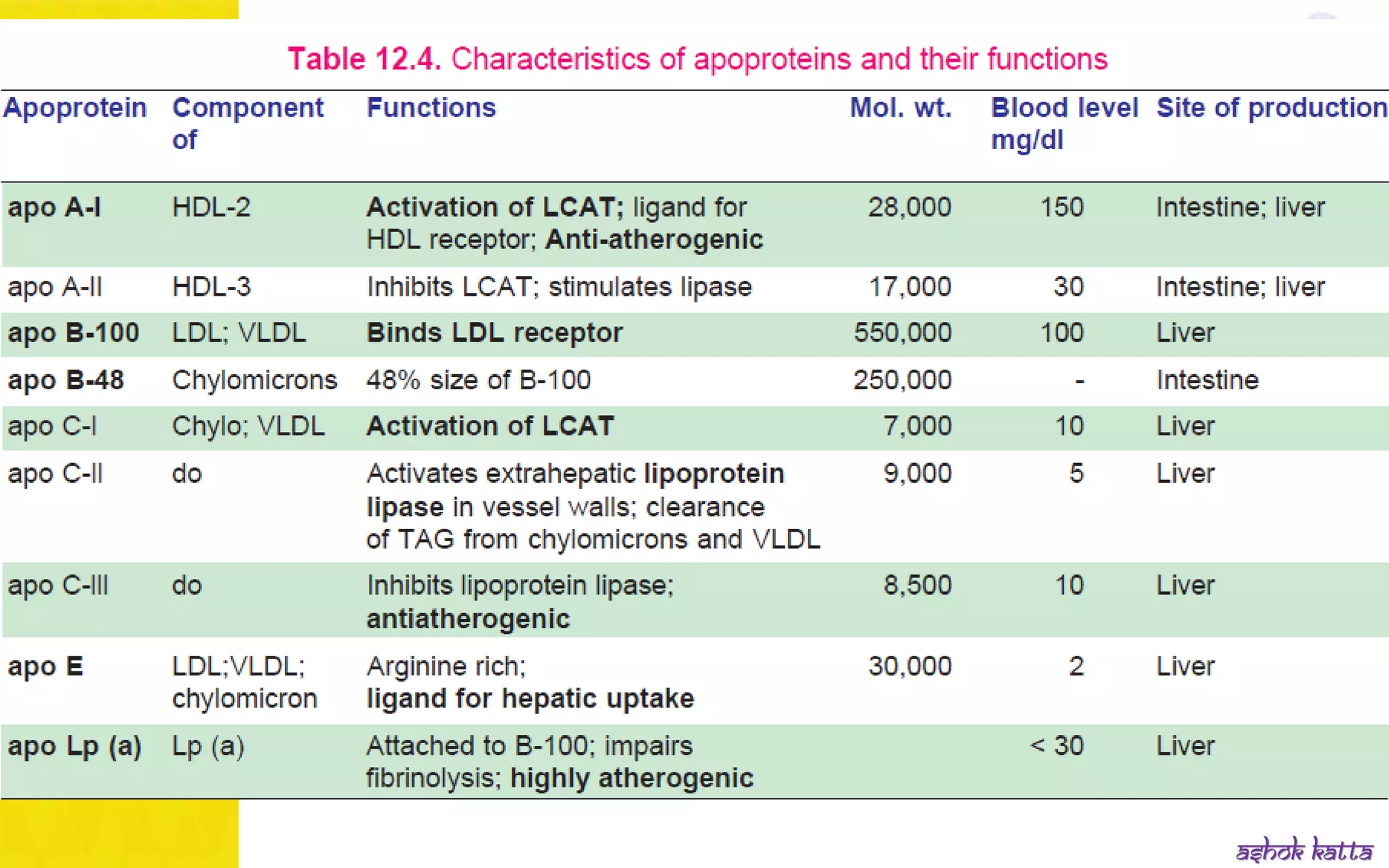 Lipoprotein metabolism - (transport of lipids in the Blood) | PPSX