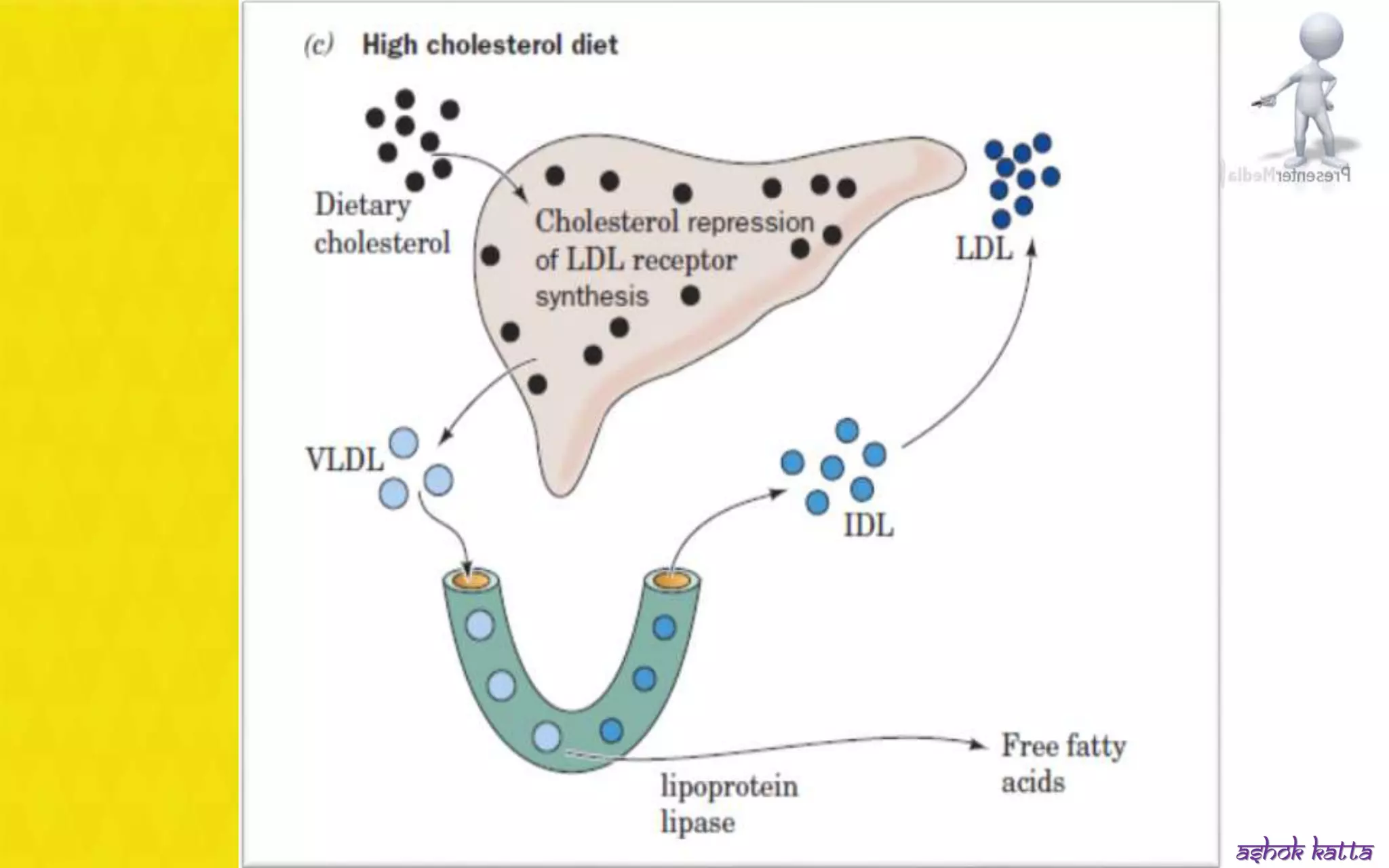 Lipoprotein metabolism - (transport of lipids in the Blood) | PPSX