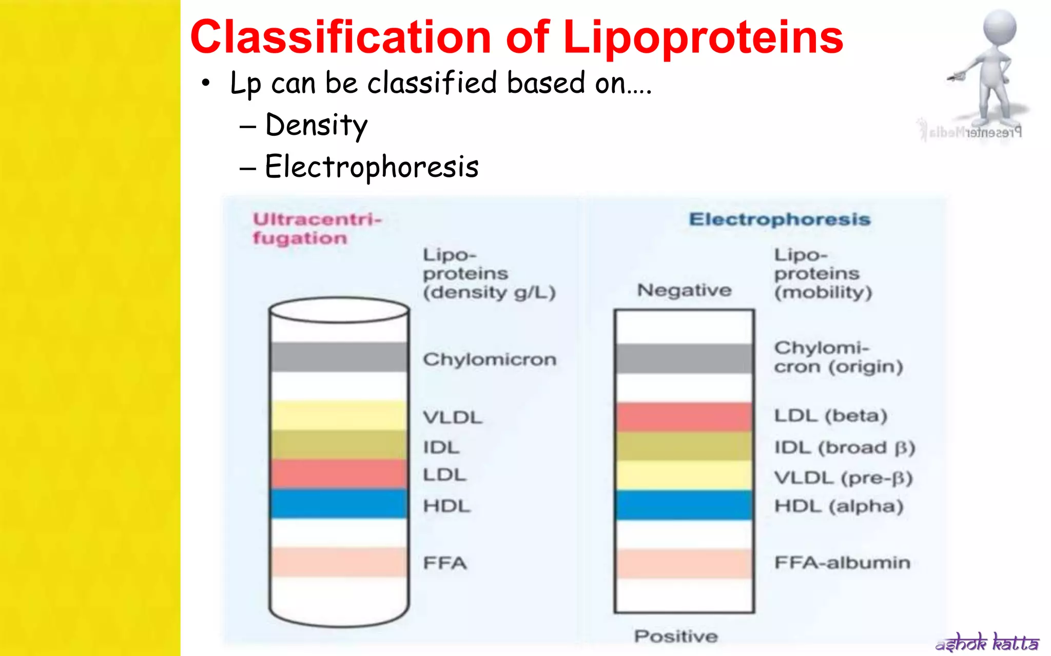 Lipoprotein metabolism - (transport of lipids in the Blood) | PPSX
