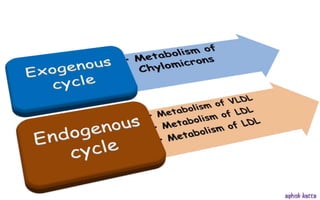 Lipoprotein metabolism - (transport of lipids in the Blood) | PPSX