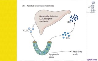 Lipoprotein metabolism - (transport of lipids in the Blood) | PPSX