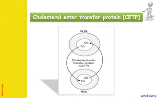 Lipoprotein metabolism - (transport of lipids in the Blood) | PPSX