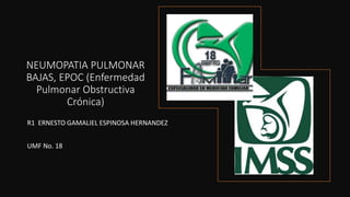 NEUMOPATIA PULMONAR
BAJAS, EPOC (Enfermedad
Pulmonar Obstructiva
Crónica)
R1 ERNESTO GAMALIEL ESPINOSA HERNANDEZ
UMF No. 18
 
