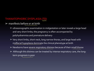 THANATOPHORIC DYSPLASIA (TD)
➢ manifests before or at birth
➢ ultrasonographic examination in midgestation or later reveals a large head
and very short limbs; the pregnancy is often accompanied by
polyhydramnios and premature delivery
➢ Very short limbs, short neck, long narrow thorax, and large head with
midfacial hypoplasia dominate the clinical phenotype at birth
➢ Newborns have severe respiratory distress because of their small thorax
➢ Although this distress can be treated by intense respiratory care, the long-
term prognosis is poor
-
°
-
-
- - - - -
-
 