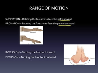 RANGE OF MOTION
SUPINATION – Rotating the forearm to face the palm upward
PRONATION – Rotating the forearm to face the palm downward
INVERSION –Turning the hindfoot inward
EVERSION –Turning the hindfoot outward
-
-
 