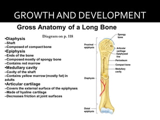 GROWTH AND DEVELOPMENT
 