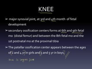 KNEE
➢ major synovial joint, at 3rd and 4th month of fetal
development
➢secondary ossification centers forms at 6th and 9th fetal
mo (distal femur) and between the 8th fetal mo and the
1st postnatal mo at the proximal tibia
➢The patellar ossification center appears between the ages
of 2 and 4 yr in girls and 3 and 5 yr in boys.
-
- -
-
°
- x
-
-
-
- - -
-
[ I [
7
Kne iS
largest joint
 