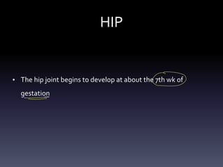 HIP
• The hip joint begins to develop at about the 7th wk of
gestation
O
- -
-
 
