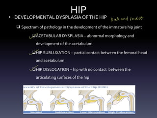 HIP
• DEVELOPMENTAL DYSPLASIA OFTHE HIP
❑ Spectrum of pathology in the development of the immature hip joint
❑ACETABULAR DYSPLASIA – abnormal morphology and
development of the acetabulum
❑HIP SUBLUXATION – partial contact between the femoral head
and acetabulum
❑HIP DISLOCATION – hip with no contact between the
articulating surfaces of the hip
Ball and socket
-
1
-
 