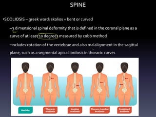 SPINE
•SCOLIOSIS – greek word: skolios = bent or curved
–3 dimensional spinal deformity that is defined in the coronal plane as a
curve of at least 10 degrees measured by cobb method
–Includes rotation of the vertebrae and also malalignment in the sagittal
plane, such as a segmental apical lordosis in thoracic curves
-
-
&
 