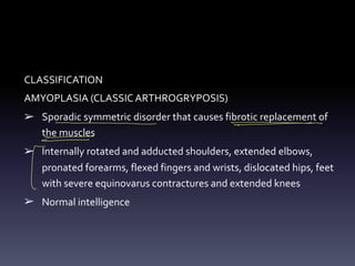 CLASSIFICATION
AMYOPLASIA (CLASSIC ARTHROGRYPOSIS)
➢ Sporadic symmetric disorder that causes fibrotic replacement of
the muscles
➢ Internally rotated and adducted shoulders, extended elbows,
pronated forearms, flexed fingers and wrists, dislocated hips, feet
with severe equinovarus contractures and extended knees
➢ Normal intelligence
- -
- -
-
- -
-
[
 