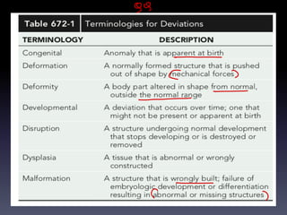 99
- - -
& 3
--
-
E 3
 