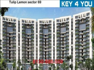 Affordable Housing Gurgaon Huda Residential Project 8130886559