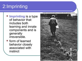 2:Imprinting
 Imprinting is a type
of behavior that
includes both
learning and innate
components and is
generally
irreversible.
 form of learned
behavior closely
associated with
instinct
 