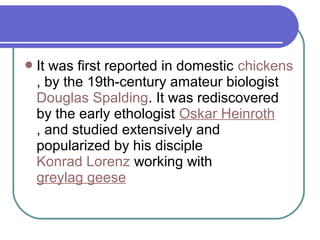 It was first reported in domestic chickens
, by the 19th-century amateur biologist
Douglas Spalding. It was rediscovered
by the early ethologist Oskar Heinroth
, and studied extensively and
popularized by his disciple
Konrad Lorenz working with
greylag geese
 