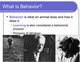 What Is Behavior?
 Behavior is what an animal does and how it
does it.
 Learning is also considered a behavioral
process.
 Pioneers of ethology:
 