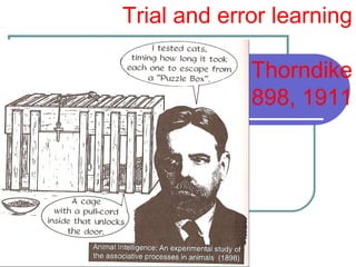 Trial and error learning
Thorndike
1898, 1911
 