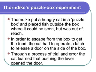 Thorndike’s puzzle-box experiment
Thorndike put a hungry cat in a ‘puzzle
box’ and placed fish outside the box
where it could be seen, but was out of
reach.
In order to escape from the box to get
the food, the cat had to operate a latch
to release a door on the side of the box.
Through a process of trial and error the
cat learned that pushing the lever
opened the door.
 