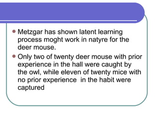Metzgar has shown latent learning
process moght work in natyre for the
deer mouse.
Only two of twenty deer mouse with prior
experience in the hall were caught by
the owl, while eleven of twenty mice with
no prior experience in the habit were
captured
 