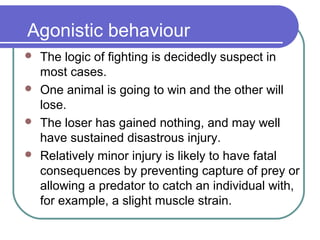 Agonistic behaviour
 The logic of fighting is decidedly suspect in
most cases.
 One animal is going to win and the other will
lose.
 The loser has gained nothing, and may well
have sustained disastrous injury.
 Relatively minor injury is likely to have fatal
consequences by preventing capture of prey or
allowing a predator to catch an individual with,
for example, a slight muscle strain.
 