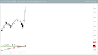 Biocon – Daily – MACD – Real Bodies & Shadows – High Wave Candle rohitmusale.com
 