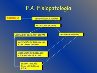 P.A. Fisiopatología ESTIMULO LESIÓN CÉLULA ACINAR ACTIVACIÓN ENZIMAS LIBERACIÓN DE: IL, TNF, ON, PAF LESIÓN ENDOTELIAL ACTIVACIÓN DE FIBRINOLISIS Y DEL COMPLEMENTO LIBERACIÓN DE ROTEASAS Y FORMACIÓN DE R.L.O2 LESIÓN TISULAR Resp. Infl. Sistémica F.O.M. 