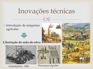 
Inovações técnicas
 Introdução de máquinas
agrícolas
Libertação de mão-de-obra
Enfardadeira - 1800 Descaroçar algodão
 