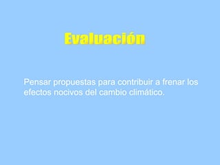 Pensar propuestas para contribuir a frenar los efectos nocivos del cambio climático. Evaluación