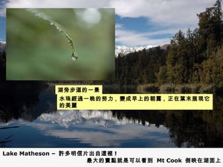 水珠經過一晚的努力 ,  變成早上的朝露 ,  正在葉末展現它的美麗 Lake Matheson –  許多明信片出自這裡 !  最大的賣點就是可以看到  Mt Cook  倒映在湖面上 湖旁步道的一景 