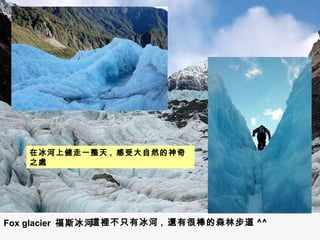 Fox glacier  福斯冰河 在冰河上健走一整天 ,  感受大自然的神奇之處 這裡不只有冰河 ,  還有很棒的森林步道 ^^ 