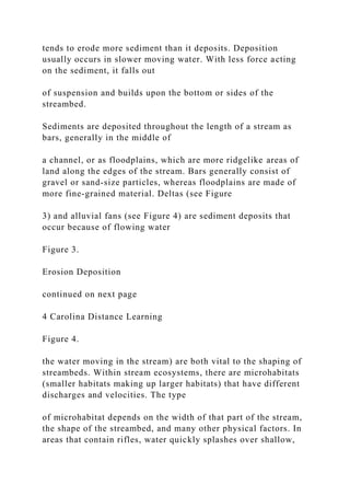 tends to erode more sediment than it deposits. Deposition
usually occurs in slower moving water. With less force acting
on the sediment, it falls out
of suspension and builds upon the bottom or sides of the
streambed.
Sediments are deposited throughout the length of a stream as
bars, generally in the middle of
a channel, or as floodplains, which are more ridgelike areas of
land along the edges of the stream. Bars generally consist of
gravel or sand-size particles, whereas floodplains are made of
more fine-grained material. Deltas (see Figure
3) and alluvial fans (see Figure 4) are sediment deposits that
occur because of flowing water
Figure 3.
Erosion Deposition
continued on next page
4 Carolina Distance Learning
Figure 4.
the water moving in the stream) are both vital to the shaping of
streambeds. Within stream ecosystems, there are microhabitats
(smaller habitats making up larger habitats) that have different
discharges and velocities. The type
of microhabitat depends on the width of that part of the stream,
the shape of the streambed, and many other physical factors. In
areas that contain rifles, water quickly splashes over shallow,
 