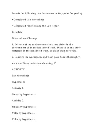 Submit the following two documents to Waypoint for grading:
• Completed Lab Worksheet
• Completed report (using the Lab Report
Template)
Disposal and Cleanup
1. Dispose of the sand/cornmeal mixture either in the
environment or in the household trash. Dispose of any other
materials in the household trash, or clean them for reuse.
2. Sanitize the workspace, and wash your hands thoroughly.
www.carolina.com/distancelearning 13
ACTIVITY
Lab Worksheet
Hypotheses
Activity 1.
Sinuosity hypothesis:
Activity 2.
Sinuosity hypothesis:
Velocity hypothesis:
Velocity hypothesis:
 