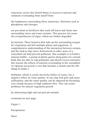 waterways across the United States is excessive nutrient and
sediment overloading from runoff from
the landmasses surrounding these waterways. Nutrients such as
phosphorus and nitrogen
are prevalent in fertilizers that wash off lawns and farms into
surrounding sewer and water systems. This process can cause
the overproduction of algae, which are further degraded
by bacteria. These bacteria then take up the surrounding oxygen
for respiration and kill multiple plants and organisms. A
comprehensive understanding of the interaction between streams
and the land as they move downstream to other areas of a
watershed can help prevent pollution. One example is to build a
riparian buffer—a group of plants grown along parts of a stream
bank that are able to trap pollutants and absorb excess nutrients;
this lessens the effects of nutrient overloading in the streambed.
(A riparian ecosystem is one that includes a stream and the life
along its banks.)
Sediment, which is easily moved by bodies of water, has a
negative effect on water quality. It can clog fish gills and cause
suffocation, and the water quality can be impaired by becoming
very cloudy because of high sediment flow. This can create
problems for natural vegetation growth
by obstructing light and can prevent animals
continued on next page
Figure 1.
Precipitation
Snow
 