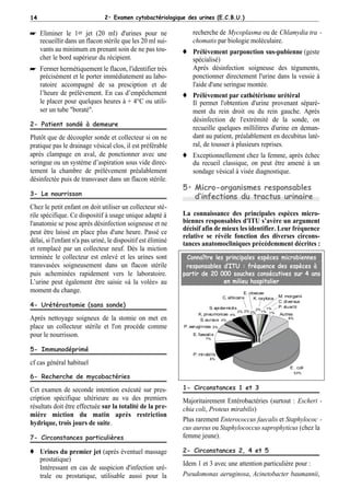 14                              2• Examen cytobactériologique des urines (E.C.B.U.)

* Eliminer le 1er jet (20 ml) d'urines pour ne                    recherche de Mycoplasma ou de Chlamydia tra -
  recueillir dans un flacon stérile que les 20 ml sui-            chomatis par biologie moléculaire.
  vants au minimum en prenant soin de ne pas tou-             © Prélèvement parponction sus-pubienne (geste
  cher le bord supérieur du récipient.                          spécialisé)
* Fermer hermétiquement le flacon, l'identifier très            Aprés désinfection soigneuse des téguments,
  précisément et le porter immédiatement au labo-               ponctionner directement l'urine dans la vessie à
  ratoire accompagné de sa presciption et de                    l'aide d'une seringue montée.
  l’heure de prélèvement. En cas d’empêchement                © Prélèvement par cathétérisme urétéral
  le placer pour quelques heures à + 4°C ou utili-              Il permet l'obtention d'urine provenant séparé-
  ser un tube "boraté".                                         ment du rein droit ou du rein gauche. Après
                                                                désinfection de l'extrémité de la sonde, on
2- Patient sondé à demeure
                                                                recueille quelques millilitres d'urine en deman-
Plutôt que de découpler sonde et collecteur si on ne            dant au patient, préalablement en decubitus laté-
pratique pas le drainage vésical clos, il est préférable        ral, de tousser à plusieurs reprises.
aprés clampage en aval, de ponctionner avec une               © Exceptionnellement chez la femme, après échec
seringue ou un système d’aspiration sous vide direc-            du recueil classique, on peut être amené à un
tement la chambre de prélèvement préalablement                  sondage vésical à visée diagnostique.
désinfectée puis de transvaser dans un flacon stérile.
                                                              5• Micro-organismes responsables
3- Le nourrisson                                                 d’infections du tractus urinaire
Chez le petit enfant on doit utiliser un collecteur sté-
rile spécifique. Ce dispositif à usage unique adapté à        La connaissance des principales espèces micro-
l'anatomie se pose après désinfection soigneuse et ne         biennes responsables d'ITU s’avère un argument
                                                              décisif afin de mieux les identifier. Leur fréquence
peut être laissé en place plus d'une heure. Passé ce
                                                              relative se révèle fonction des diverses circons-
délai, si l'enfant n'a pas uriné, le dispositif est éliminé   tances anatomocliniques précédemment décrites :
et remplacé par un collecteur neuf. Dès la miction
terminée le collecteur est enlevé et les urines sont           Connaître les principales espèces microbiennes
transvasées soigneusement dans un flacon stérile               responsables d’ITU : fréquence des espèces à
puis acheminées rapidement vers le laboratoire.               partir de 20 000 souches consécutives sur 4 ans
L’urine peut également être saisie «à la volée» au                          en milieu hospitalier
moment du change.                                                                             E. cloacae
                                                                                   C. albicans      K. oxytoca   M. morganii
                                                                                                                 C. diversus
4- Urétérostomie (sans sonde)                                              S. epidermidis                1%      P. stuartii
                                                                                                    2%
                                                                                          2%   2% 2%   1% 1%
                                                                     K. pneumoniae 4%                            Autres
Après nettoyage soigneux de la stomie on met en                       S. aureus 4%                                   8%

place un collecteur stérile et l'on procéde comme             P. aeruginosa   5%

pour le nourrisson.                                               E. faecalis
                                                                        7%


5- Immunodéprimé
                                                                  P. mirabilis
                                                                          8%
cf cas général habituel
                                                                                                                      E . coli

6- Recherche de mycobactéries
                                                                                                                          53%




Cet examen de seconde intention exécuté sur pres-             1- Circonstances 1 et 3
cription spécifique ultérieure au vu des premiers             Majoritairement Entérobactéries (surtout : Escheri -
résultats doit être effectuée sur la totalité de la pre-      chia coli, Proteus mirabilis)
mière miction du matin après restriction
                                                              Plus rarement Enterococcus faecalis et Staphylococ -
hydrique, trois jours de suite.
                                                              cus aureus ou Staphylococcus saprophyticus (chez la
7- Circonstances particulières                                femme jeune).

© Urines du premier jet (aprés éventuel massage               2- Circonstances 2, 4 et 5
  prostatique)
                                                              Idem 1 et 3 avec une attention particulière pour :
  Intéressant en cas de suspicion d'infection uré-
  trale ou prostatique, utilisable aussi pour la              Pseudomonas aeruginosa, Acinetobacter baumannii,
 