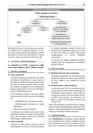 02-ECBU | PDF
