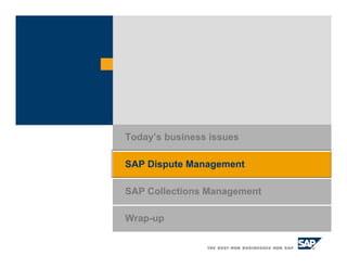 SAP Collections Management
Today’s business issues
SAP Dispute Management
Wrap-up
 