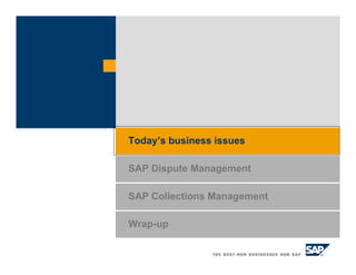 SAP Collections Management
Today’s business issues
SAP Dispute Management
Wrap-up
 
