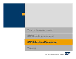 SAP Collections Management
Today’s business issues
SAP Dispute Management
Wrap-up
 