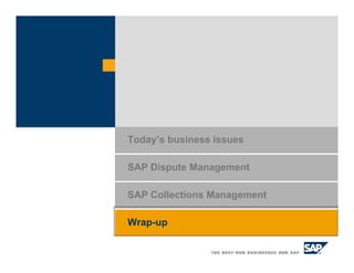 SAP Collections Management
Today’s business issues
SAP Dispute Management
Wrap-up
 