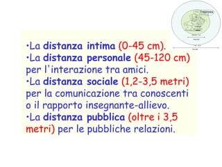 •La distanza intima (0-45 cm).
•La distanza personale (45-120 cm)
per l'interazione tra amici.
•La distanza sociale (1,2-3,5 metri)
per la comunicazione tra conoscenti
o il rapporto insegnante-allievo.
•La distanza pubblica (oltre i 3,5
metri) per le pubbliche relazioni.
 