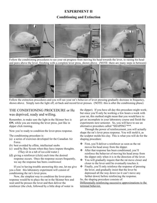 Rearing In Rats Rat Lab Manual | DOC