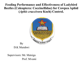 Feeding Performance and Effectiveness of Ladybird
Beetles (Coleoptera: Coccinellidae) for Cowpea Aphid
(Aphis craccivora Koch) Control.
By
D.K Murahwi
Supervisors: Mr. Matsiga
Prof. Mvumi
 