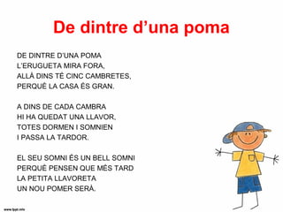 De dintre d’una poma
DE DINTRE D’UNA POMA
L’ERUGUETA MIRA FORA,
ALLÀ DINS TÉ CINC CAMBRETES,
PERQUÈ LA CASA ÉS GRAN.

A DINS DE CADA CAMBRA
HI HA QUEDAT UNA LLAVOR,
TOTES DORMEN I SOMNIEN
I PASSA LA TARDOR.

EL SEU SOMNI ÉS UN BELL SOMNI
PERQUÈ PENSEN QUE MÉS TARD
LA PETITA LLAVORETA
UN NOU POMER SERÀ.
 