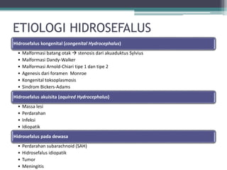 ETIOLOGI HIDROSEFALUS
Hidrosefalus kongenital (congenital Hydrocephalus)
• Malformasi batang otak  stenosis dari akuaduktus Sylvius
• Malformasi Dandy-Walker
• Malformasi Arnold-Chiari tipe 1 dan tipe 2
• Agenesis dari foramen Monroe
• Kongenital toksoplasmosis
• Sindrom Bickers-Adams
Hidrosefalus akuisita (aquired Hydrocephalus)
• Massa lesi
• Perdarahan
• Infeksi
• Idiopatik
Hidrosefalus pada dewasa
• Perdarahan subarachnoid (SAH)
• Hidrosefalus idiopatik
• Tumor
• Meningitis
 